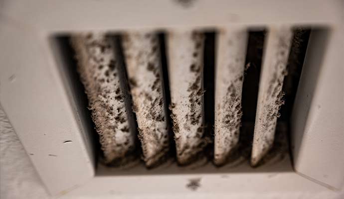 mold in hvac air vent