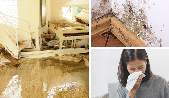 flood damaged property and mold effected woman