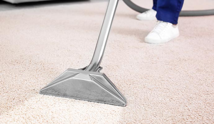 carpet being cleaned with carpet cleaner