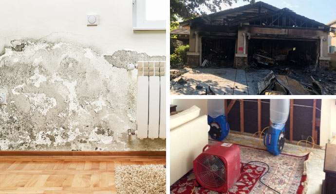 Mold, fire and water damage restoration