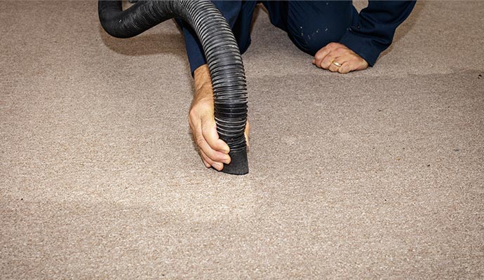 person drying carpet with equipment