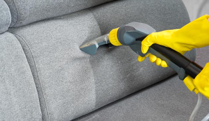 sofa cleaning