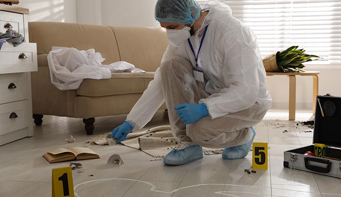 a professional inspecting a crime scene