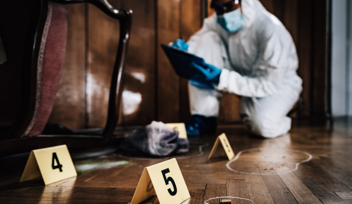 a professional inspecting a crime scene