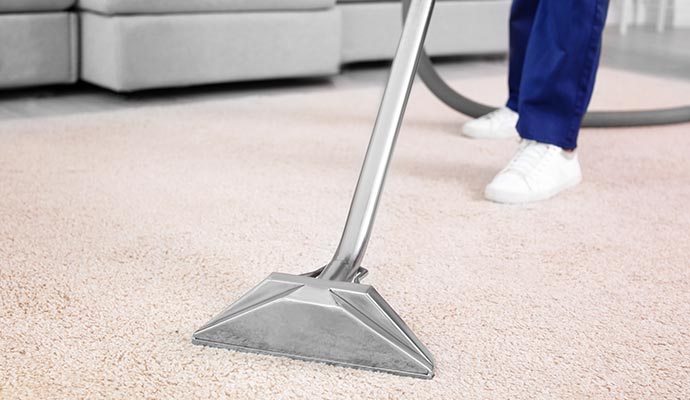 a professional providing carpet cleaning service