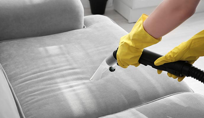 a professional cleaning a sofa using equipment