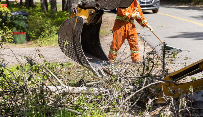 Storm damage cleanup