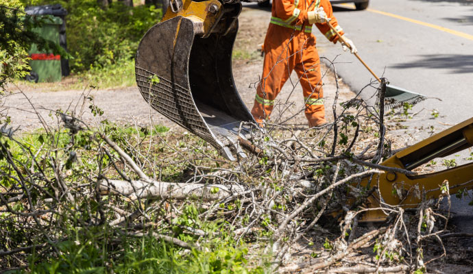  a professional disaster cleanup process in progress