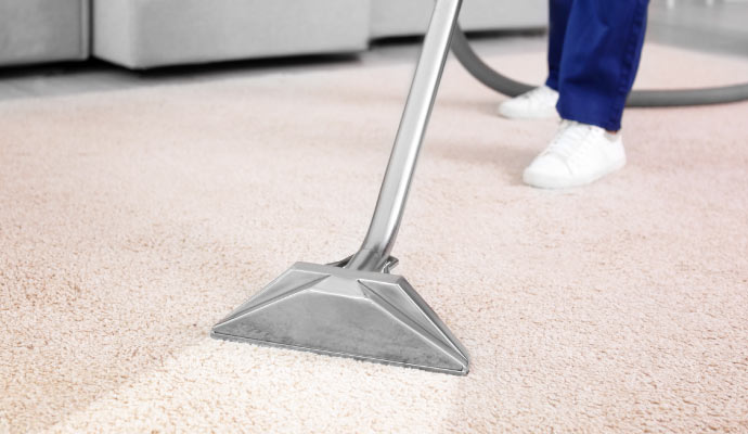 Professional carpet cleaning