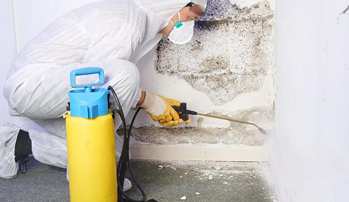 Person removing mold with spray