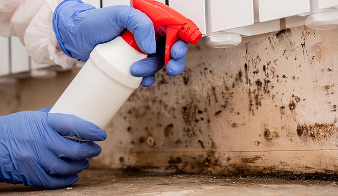 Person performing mold remediation with spray