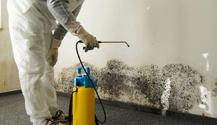 a person engaged in mold removal process