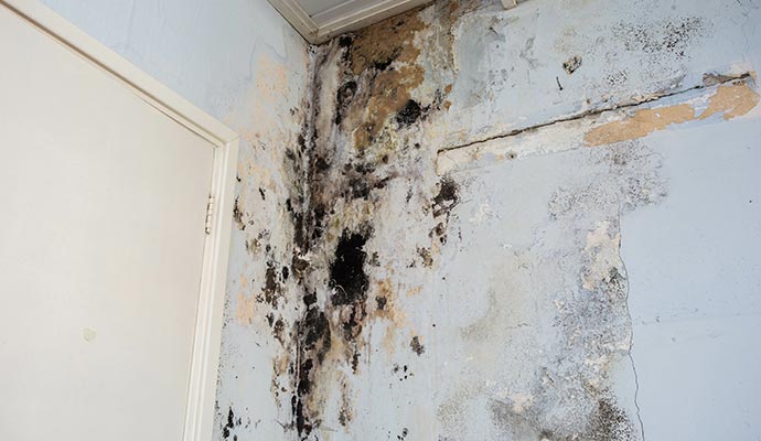 A corner of a room with black mold