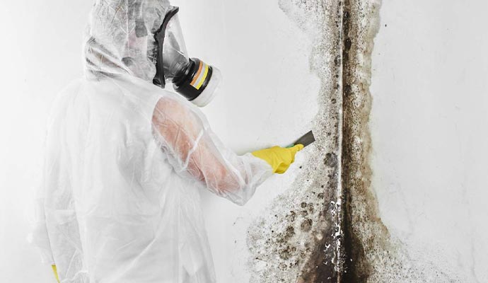 Person cleaning mold with equipment