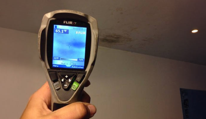 Mold growth inspection