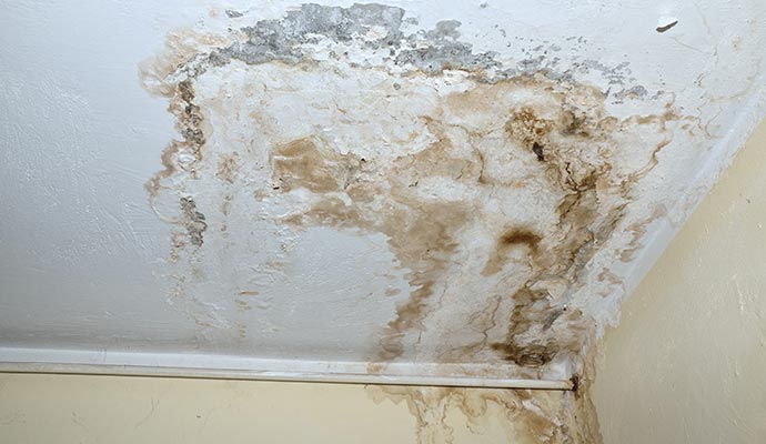 mold stain on the room ceiling