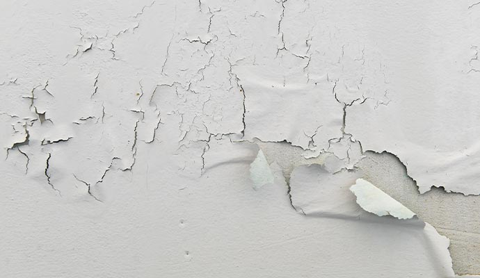 paint peeling off from the wall.