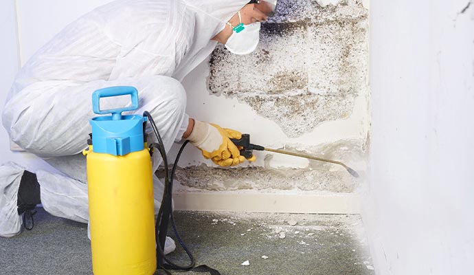 a person is cleaning mold from the wall