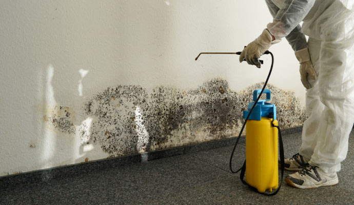 Mold Remediation