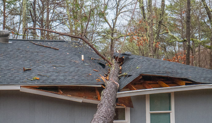 A wind damaged property