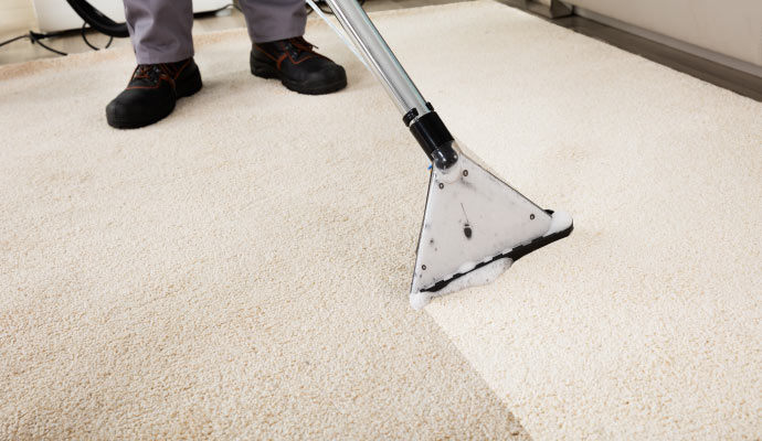 Carpet cleaning service