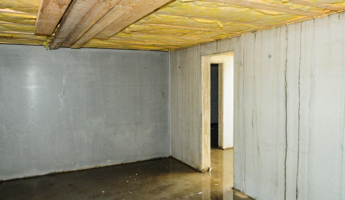 Flooded Basement