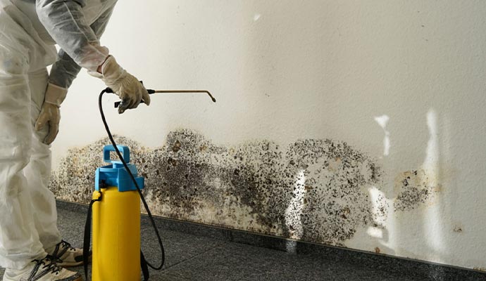 Person removing mold with spray