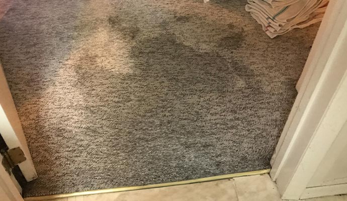 Odor Removal from Water Damaged Carpets in Temecula, CA