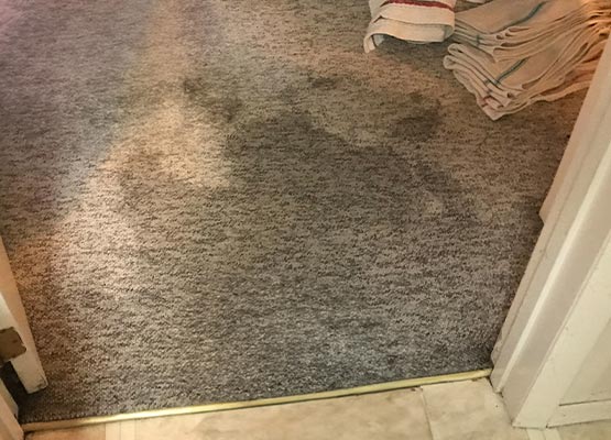 stain on carpet from the water damage