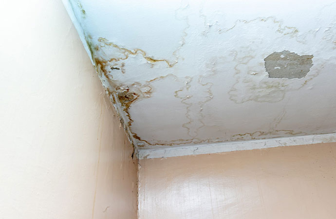 Upstairs or Above Ceiling Leaks