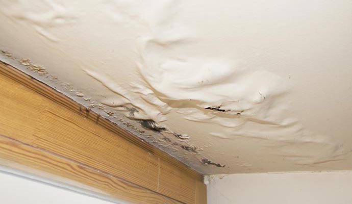 Water damaged ceiling